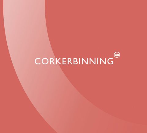 Criminal Law Firm Case Study