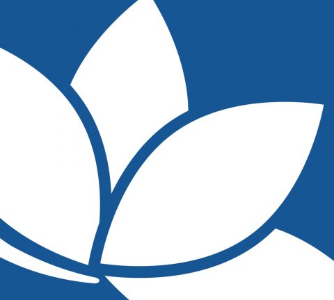 Award Foundation Case Study