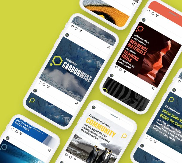 Sustainable Education Platform Case Study